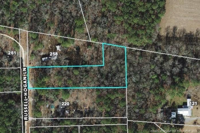 252 Russell Hogan Ln, Coats, NC 27521