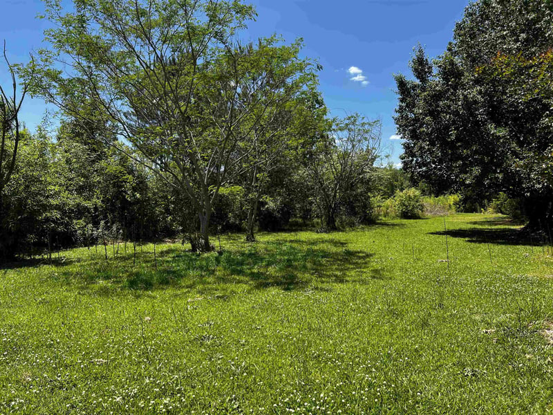 2527 Joel Johnson Rd, Lillington, NC 27546