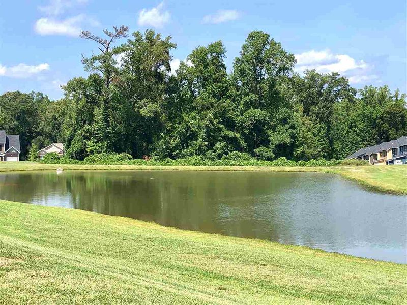 253 Cullen Ct, Clayton, NC 27520