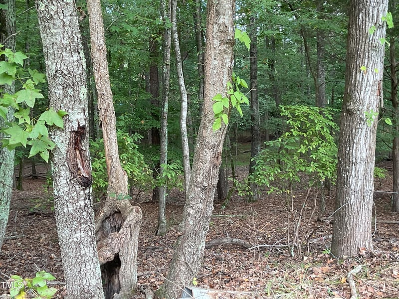 2537 Baptist Rd Lot 2, Durham, NC 27703
