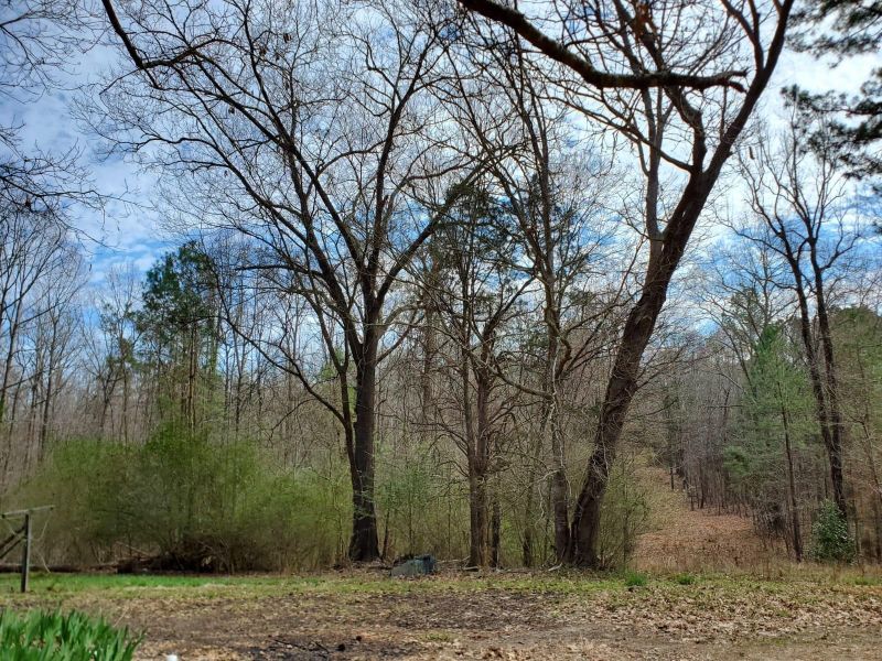 255 River Forks Rd, Sanford, NC 27330
