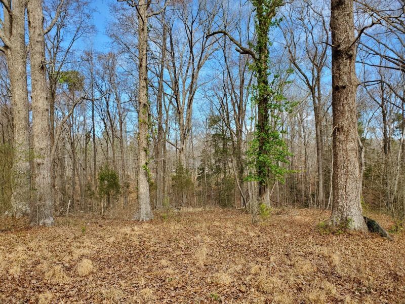 255 River Forks Rd, Sanford, NC 27330