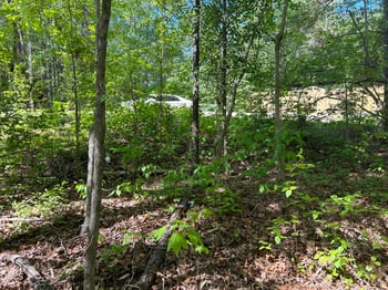 2558 Buckingham Dr Lot 36, Franklinton, NC 27525