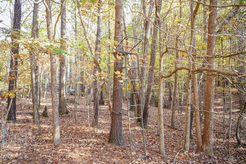 2566 Mays Crossroads Rd, Youngsville, NC 27596