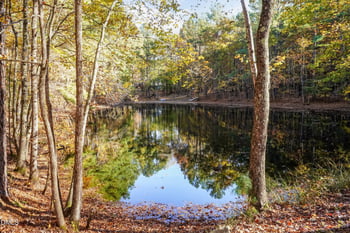 2566 Mays Crossroads Rd, Youngsville, NC 27596