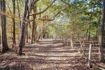 2566 Mays Crossroads Rd, Youngsville, NC 27596