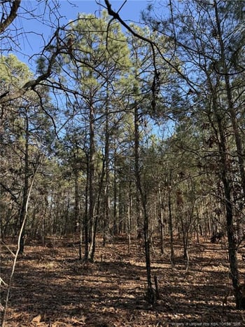 257 Lakeview Ln, Cameron, NC 28326