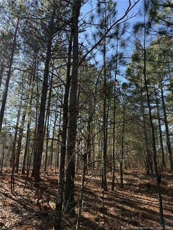 257 Lakeview Ln, Cameron, NC 28326