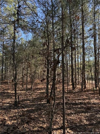 257 Lakeview Ln, Cameron, NC 28326