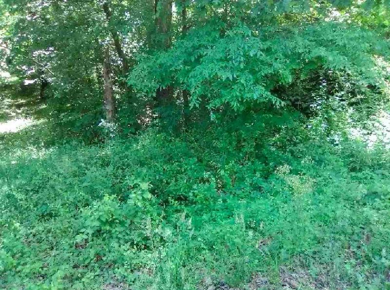 2576 Conyers Rd Lot 30, Franklinton, NC 27525
