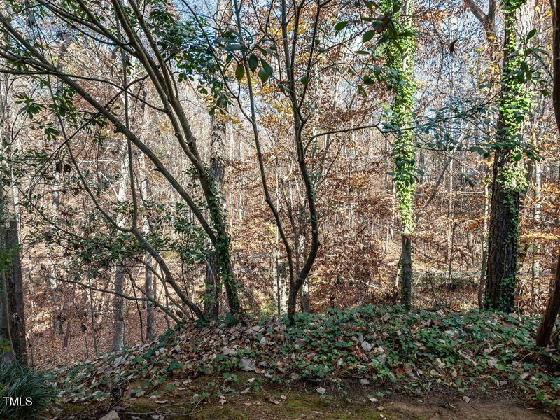 258 Beechtree Dr, Cary, NC 27513