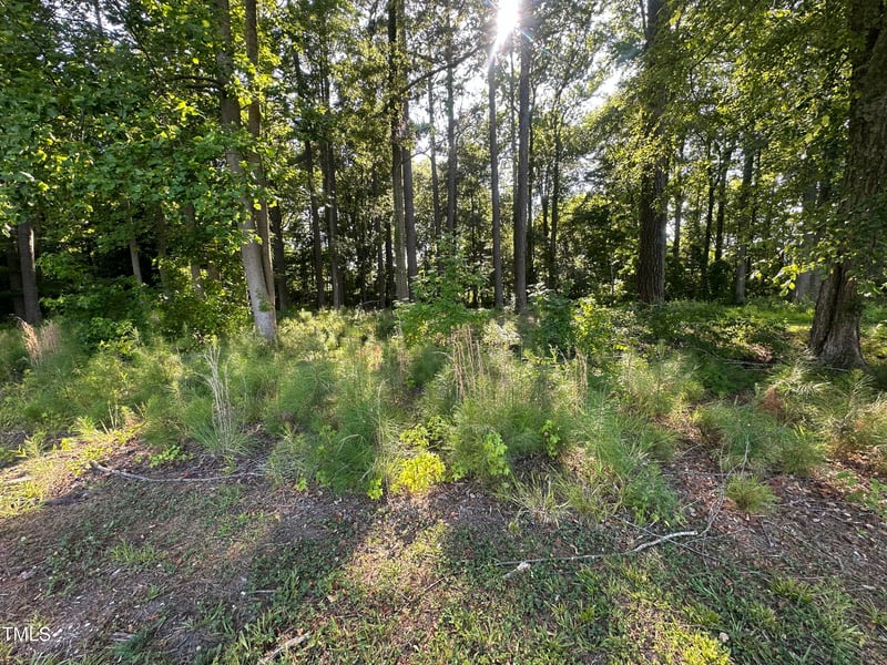 26 Phillips Rd Lot 2, Selma, NC 27576
