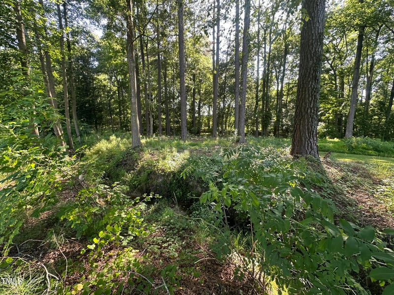 26 Phillips Rd Lot 2, Selma, NC 27576