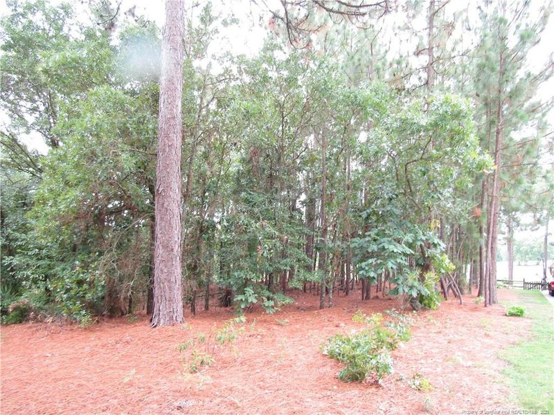 260 Golf Dr, Sanford, NC 27332