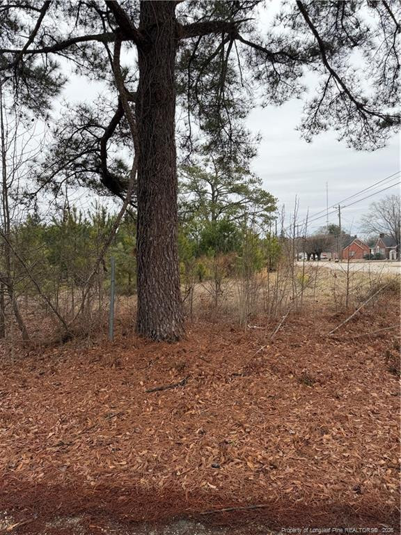 2602 Erwin Rd, Dunn, NC 28334