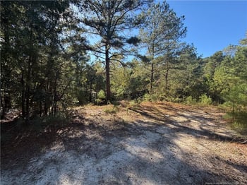 2608 Blowing Rock Ct, Hope Mills, NC 28348