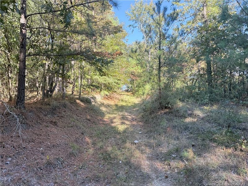 2608 Blowing Rock Ct, Hope Mills, NC 28348