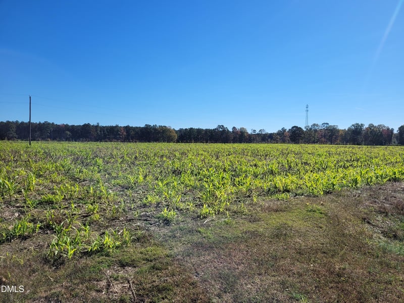 2614 Buffalo Rd Lot 2614, Smithfield, NC 27577