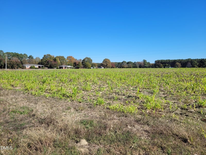 2614 Buffalo Rd Lot 2614, Smithfield, NC 27577