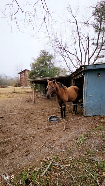 2621 Davistown Rd, Wendell, NC 27591