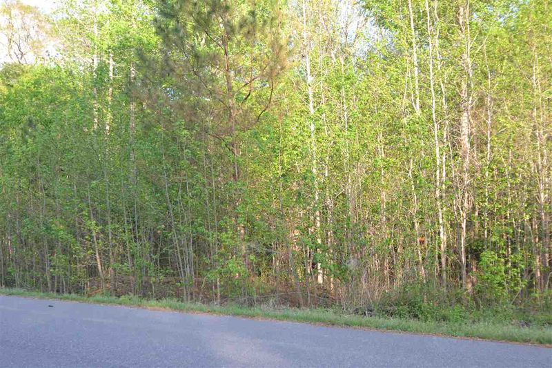 2621 Silver Stirrup Ln Lot 2, Apex, NC 27502