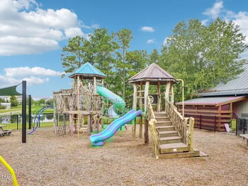 264 Big Bradley Dr, Wendell, NC 27591