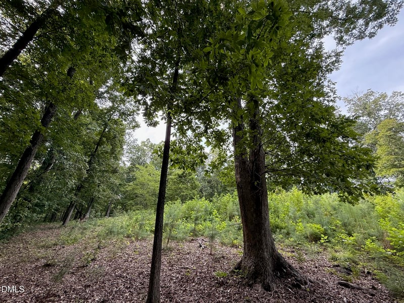 2641 Orange Grove Rd, Hillsborough, NC 27278