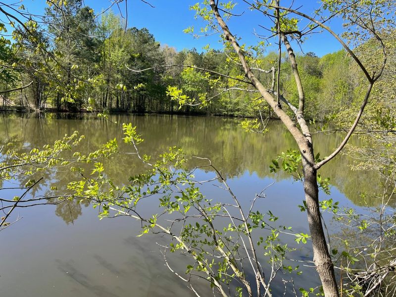 2649 Farrington Point Rd, Chapel Hill, NC 27517