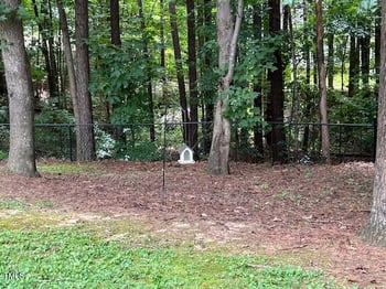 265 Cedarhurst Ln, Franklinton, NC 27525