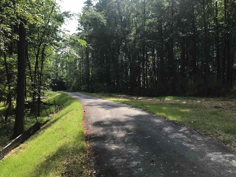 265 Chestnut Walk Dr, Apex, NC 27523