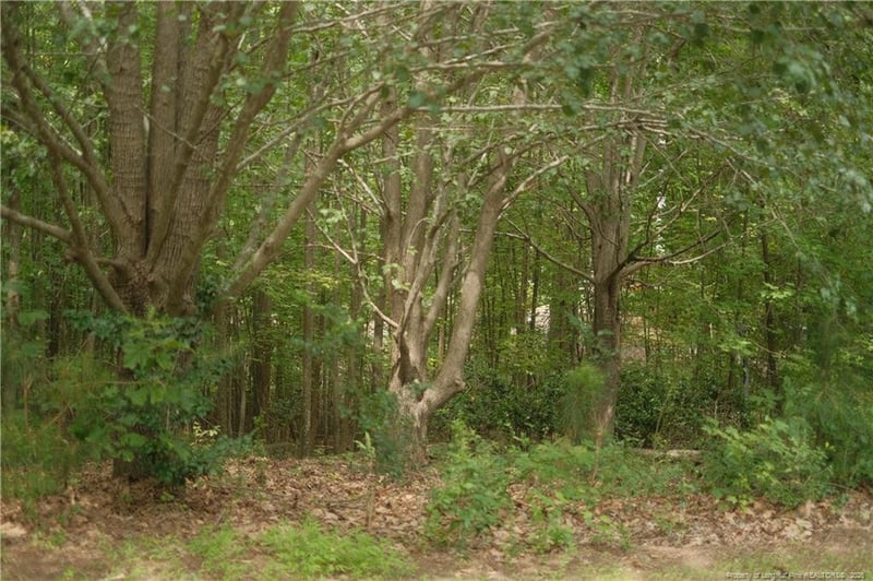 265 Fairway Ln, Sanford, NC 27332