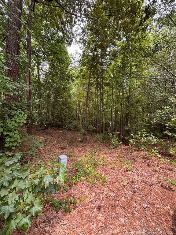 265 Fairway Ln, Sanford, NC 27332