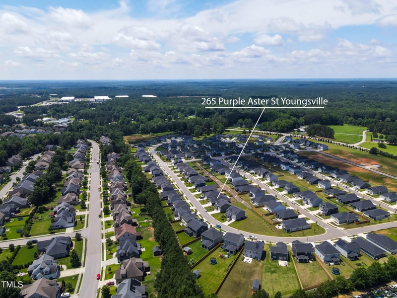 265 Purple Aster St, Youngsville, NC 27596