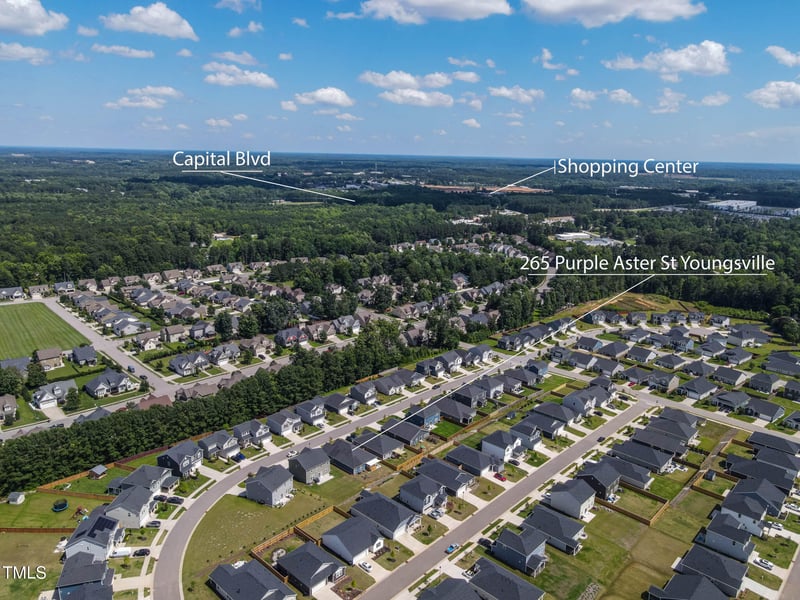 265 Purple Aster St, Youngsville, NC 27596