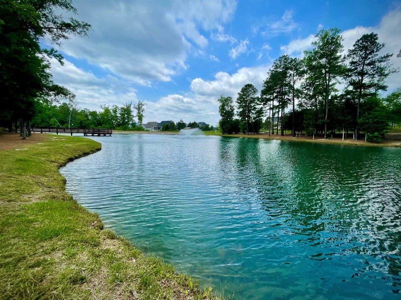 2652 Cardinals Perch Ln, Wendell, NC 27591