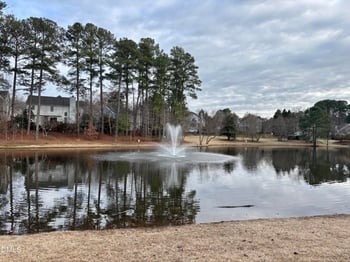 266 Joshua Glen Ln, Cary, NC 27519