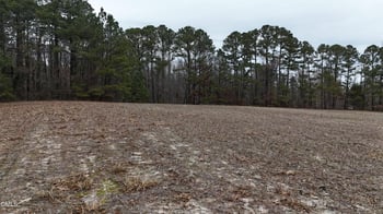 2660-2714 Carolina 98 , Louisburg, NC 27549