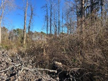 2671 Guy Rd, Clayton, NC 27520