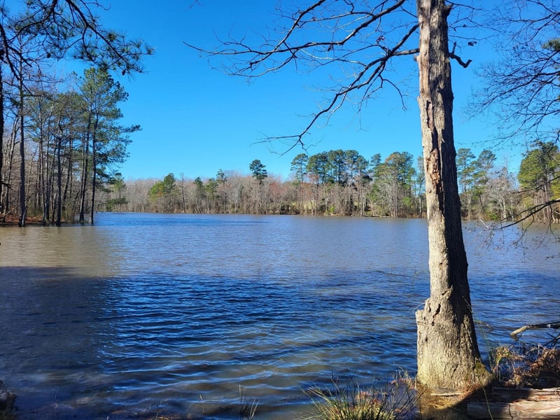 269 Lily Oak Dr, Rolesville, NC 27587