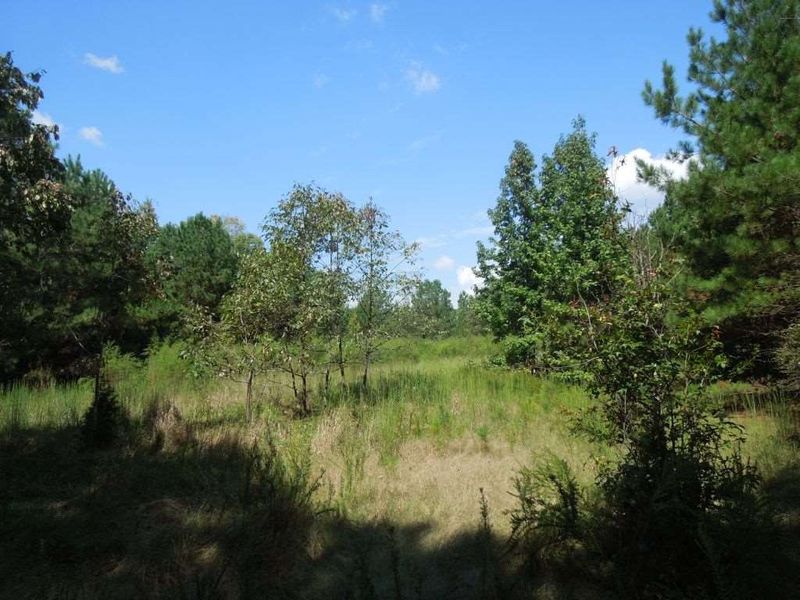2701 Baptist Rd Lot na, Durham, NC 27703