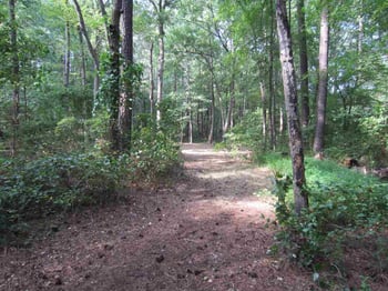 2701 Ten Ten Rd Lot 7, Cary, NC 27539