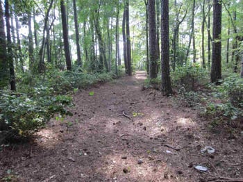 2701 Ten Ten Rd Lot 7, Cary, NC 27539