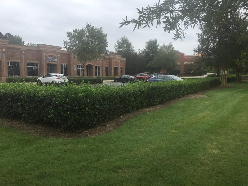 2703 Jones Franklin Rd #102, Cary, NC 27511