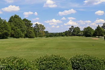 2705 Peachleaf St, Raleigh, NC 27614