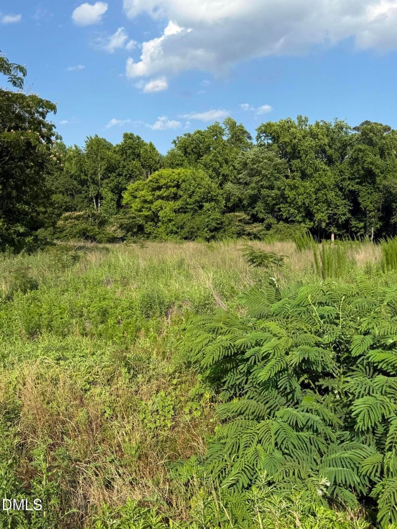 2712 Erwin Chapel Rd Lot 1, Dunn, NC 28334
