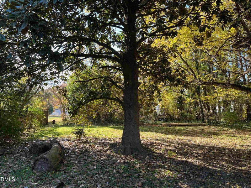 2715a Cammie St, Durham, NC 27705