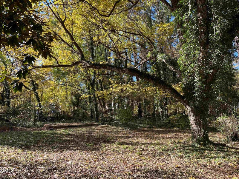 2715a Cammie St, Durham, NC 27705