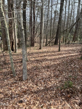 2721 Floyd Dr Lot 63, Raleigh, NC 27610