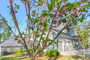 2721 Sanctuary Woods Ln, Raleigh, NC 27606