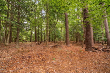 2724 Glastonbury Rd, Apex, NC 27539
